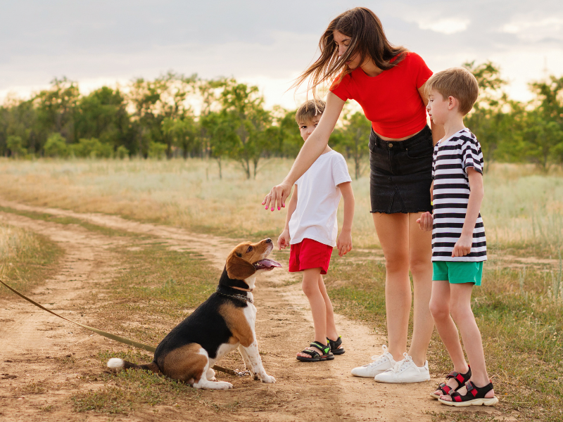 Bambini e cani